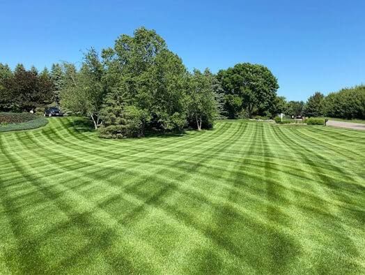 Landscaping Division does Lawns and Plowing