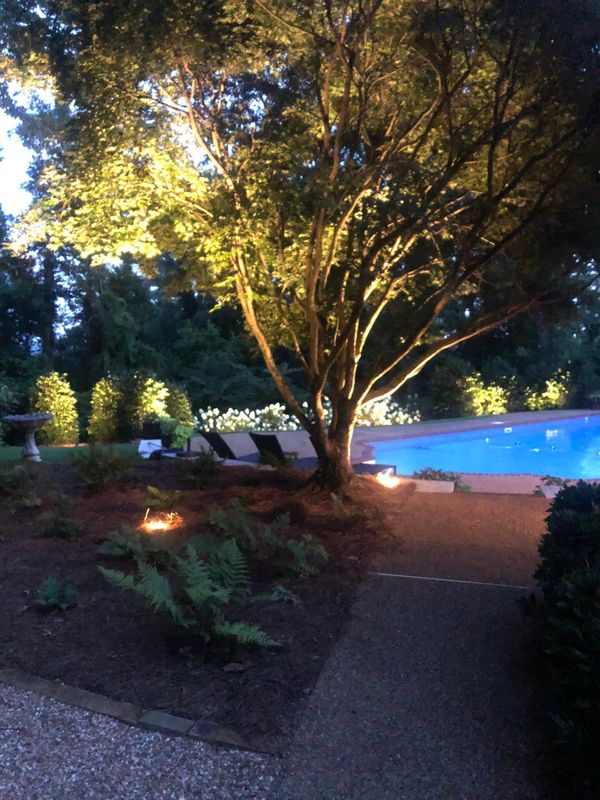 Outdoor Lighting Installation