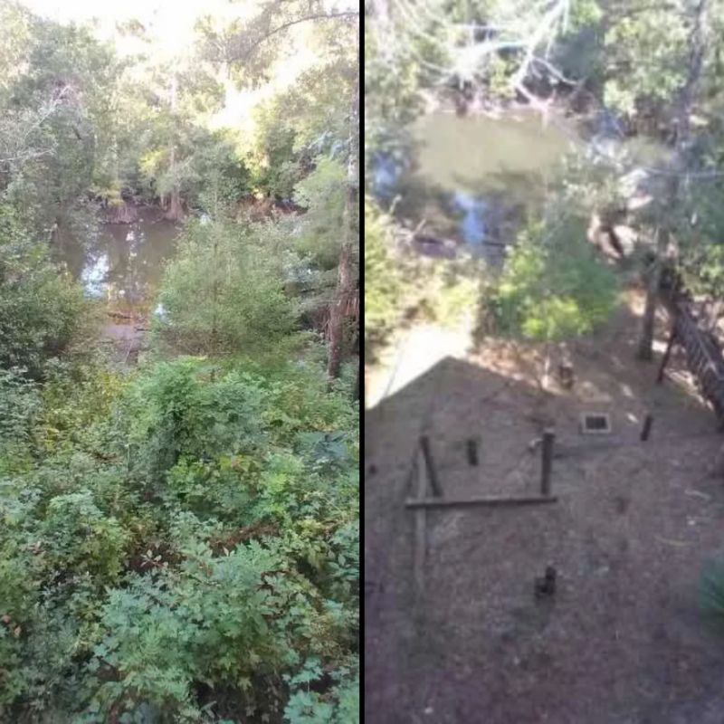 Before & Afters