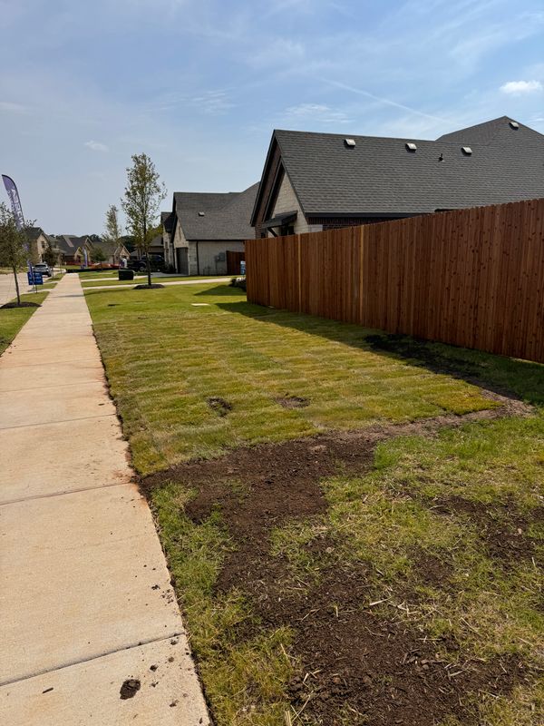 Sod Installation