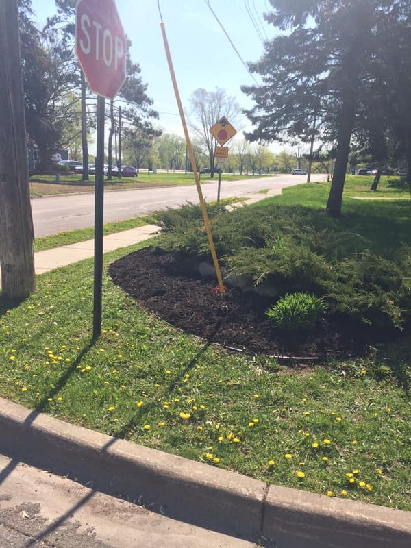 Shrub Trimming