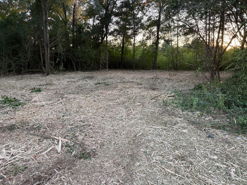 Land Clearing