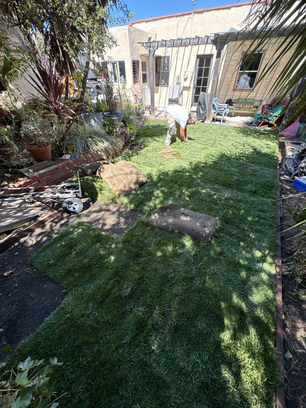 Landscaping