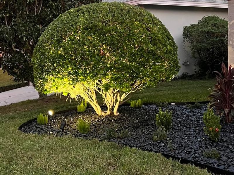 Landscaping