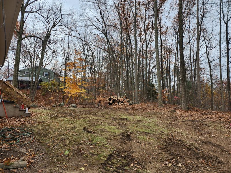Logging & Lane Clearing