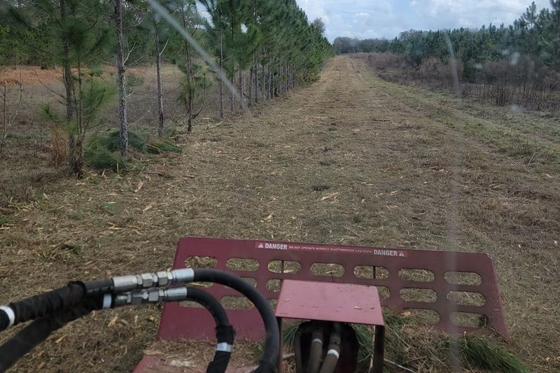 Land Clearing gallery