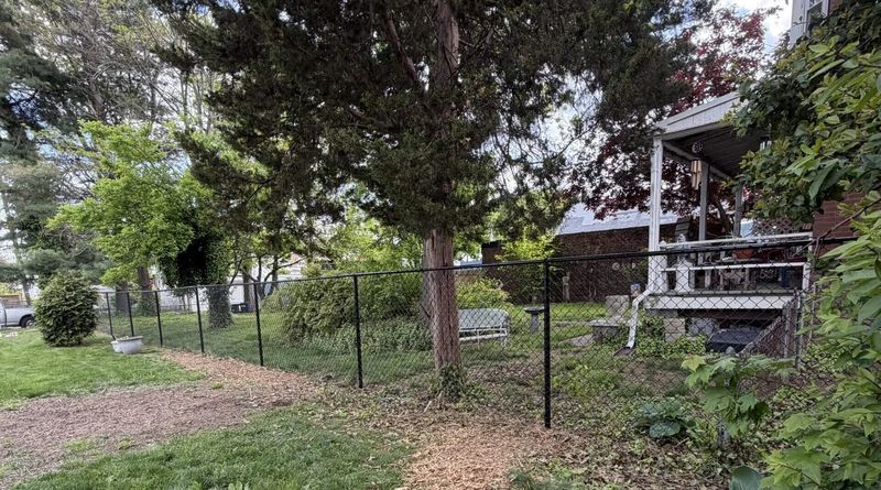 Decks & Fences