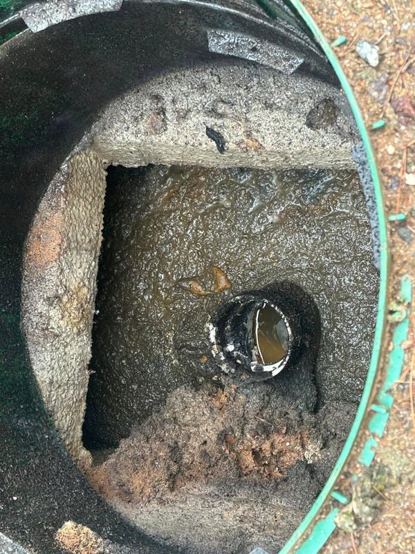 Septic