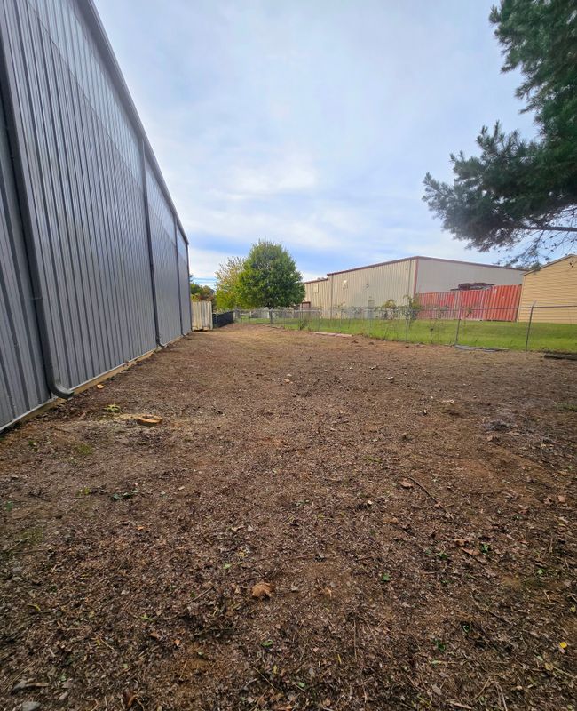Clean ups and invasive plant management 