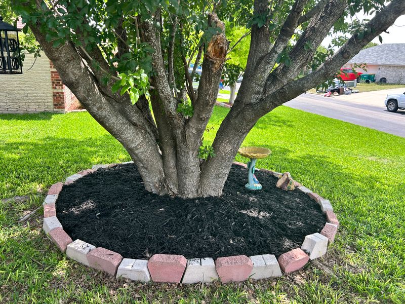 Mulch beds