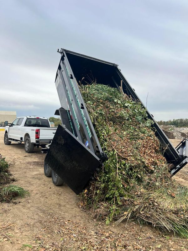 Fall Clean Up
