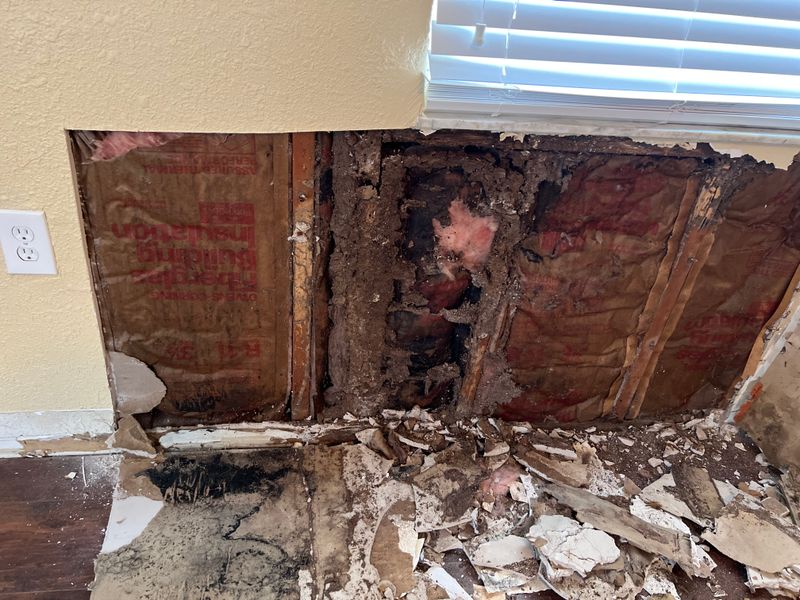 Mold Remediation