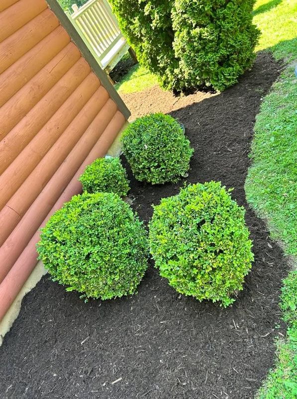 Landscaping