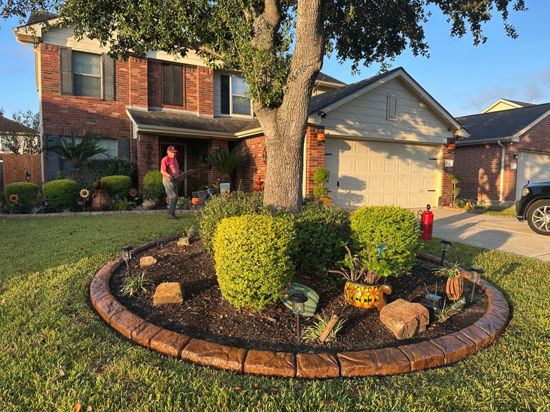 Landscape Border Systems