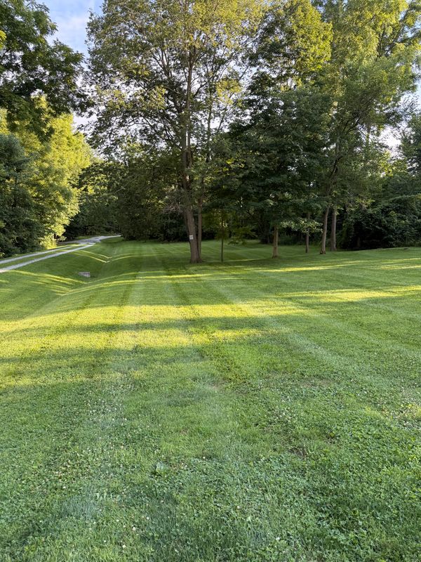 Lawn Care and Maintenance