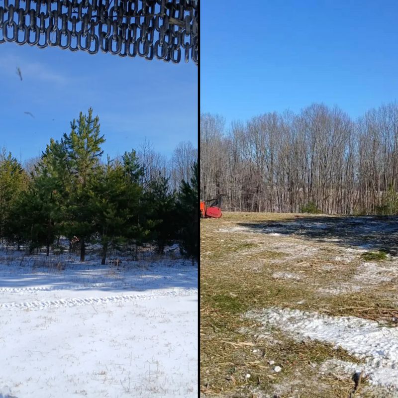 Forestry Mulching