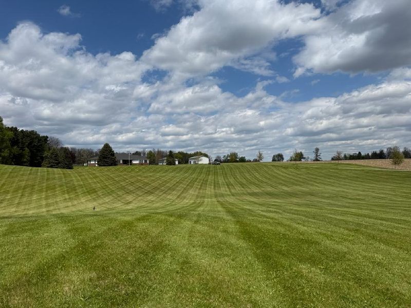 Lawn Mowing