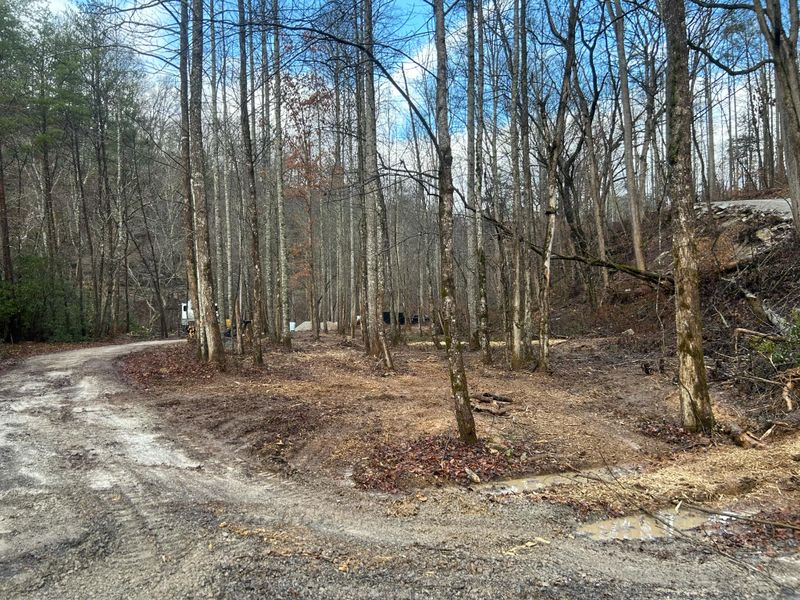Land Clearing