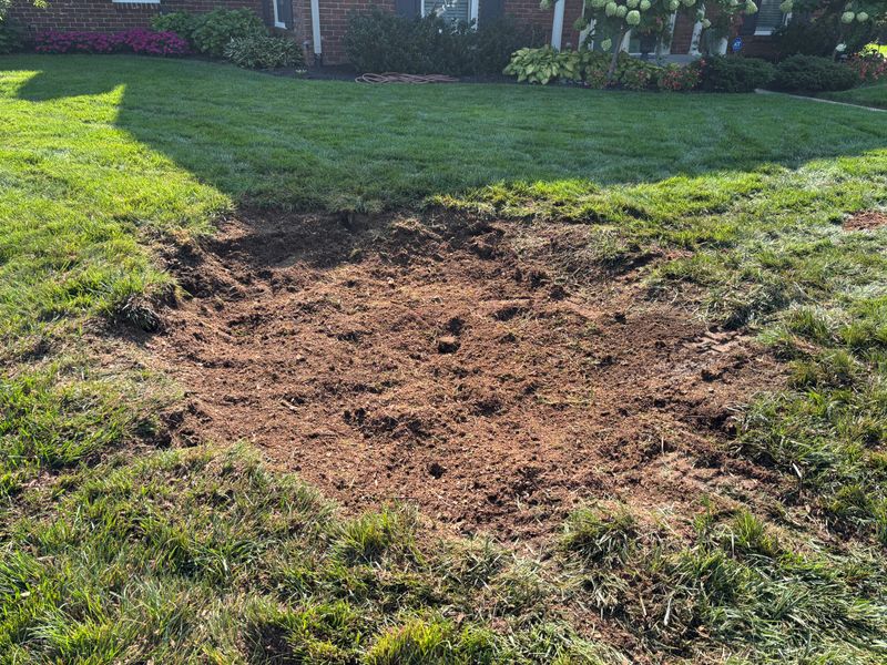 Stump Removal