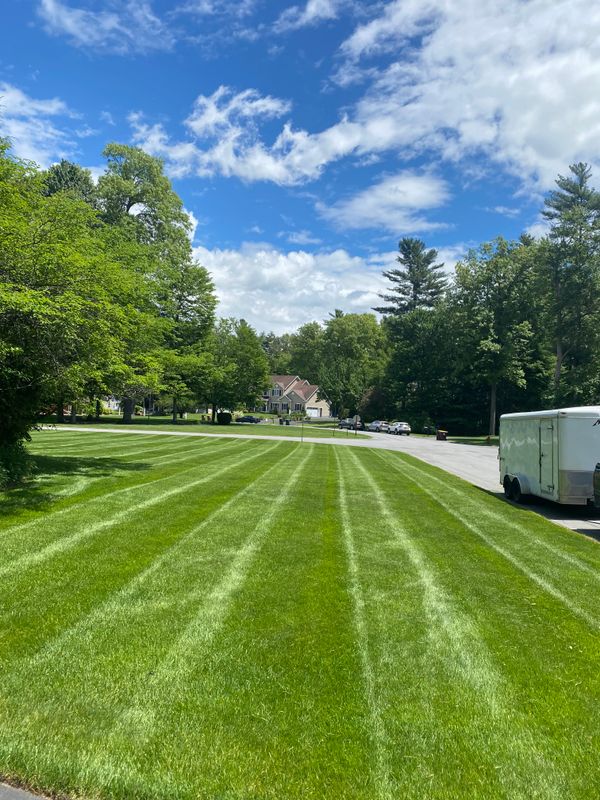 Mowing