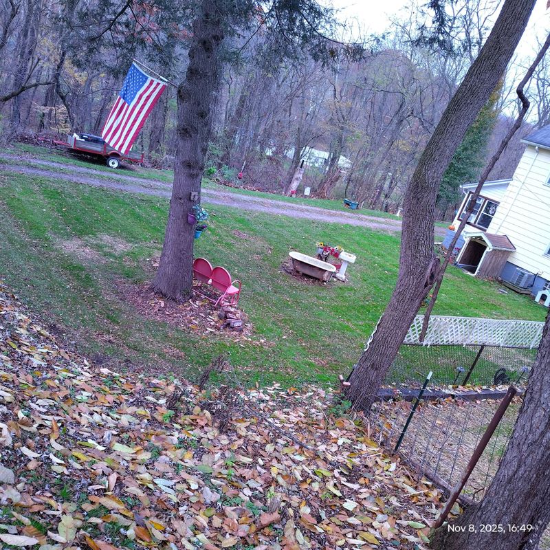 Seasonal Clean-ups