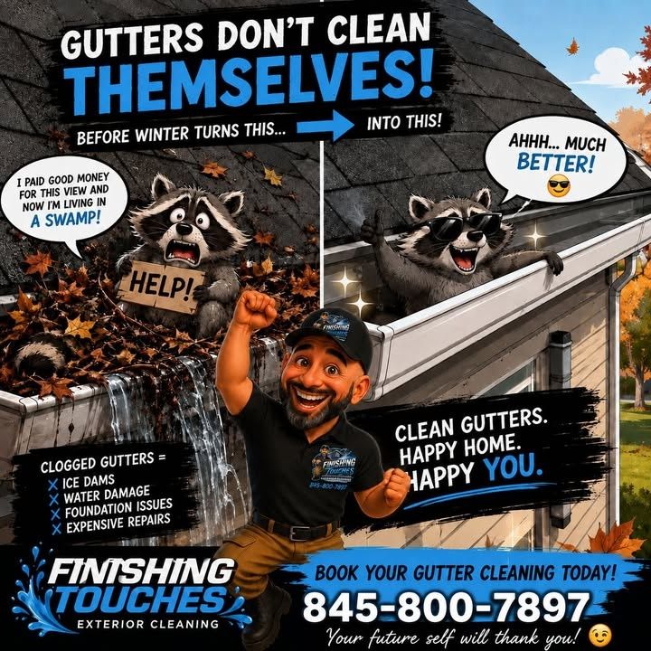 Gutter Cleaning