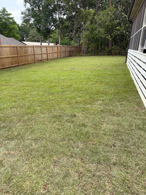Sod Installation