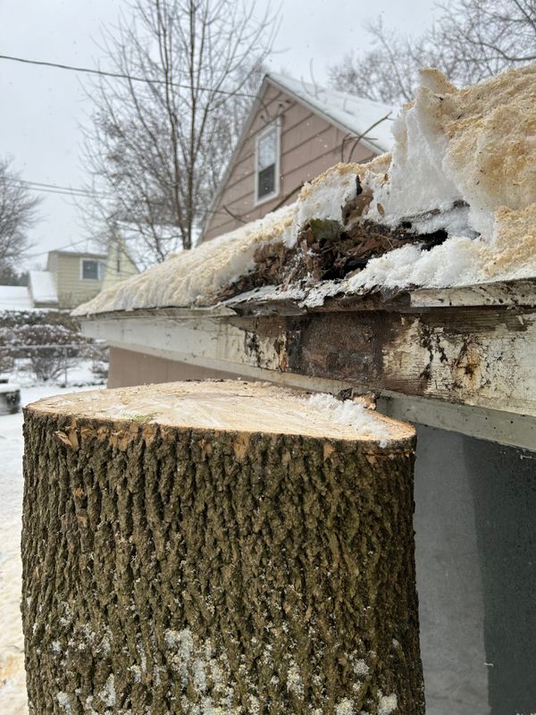 Tree Removal