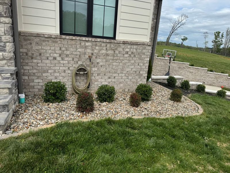 Garden Designs