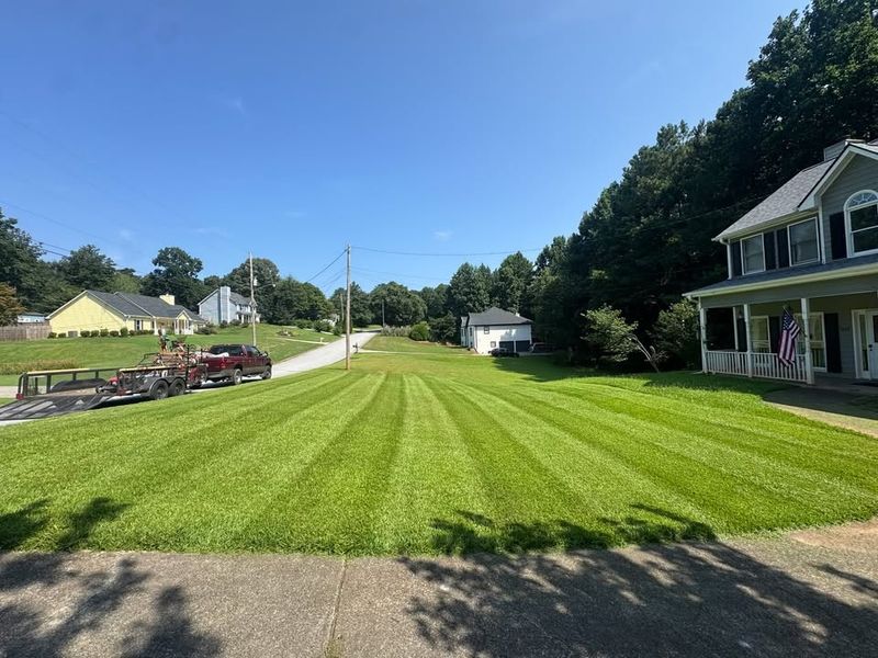 Lawn Mowing