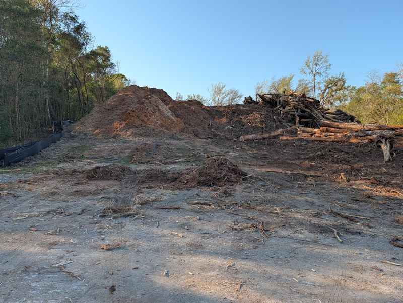 Stump Removal