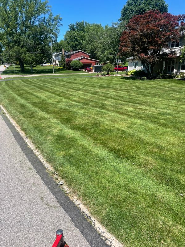 Mowing
