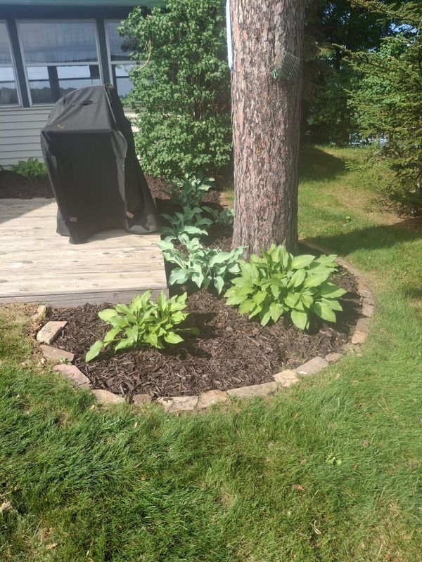 Landscape Design