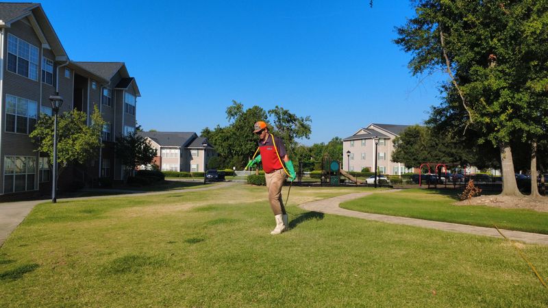 Lawn Care