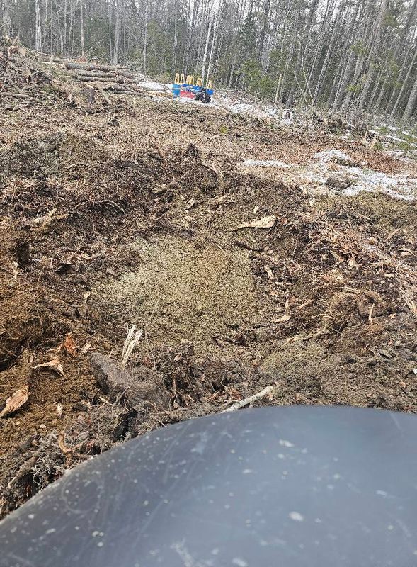 Stump Removal