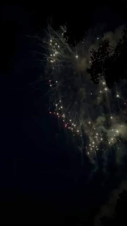Gender Reveal Firework Displays / Show