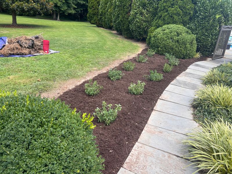 Shrub and Plant Trimming