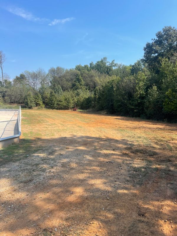 Brush Clearing