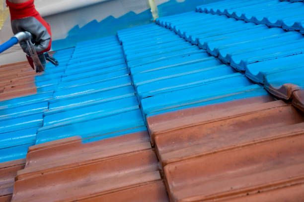 Roof Painting