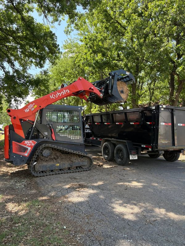Tree Removal