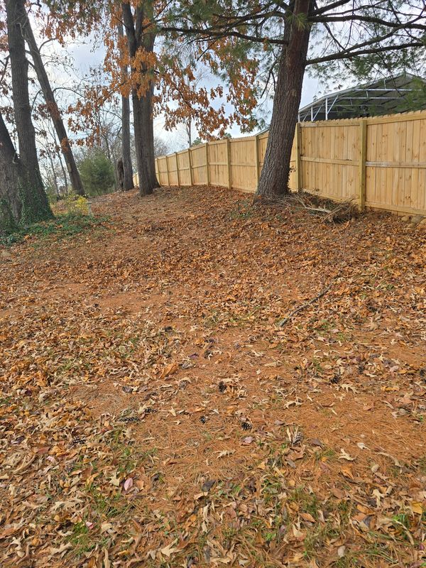 Fences