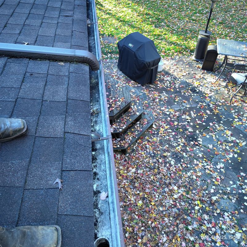 Gutter Cleaning