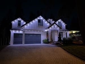 Holiday Lights
