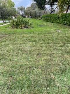 Lawn Care