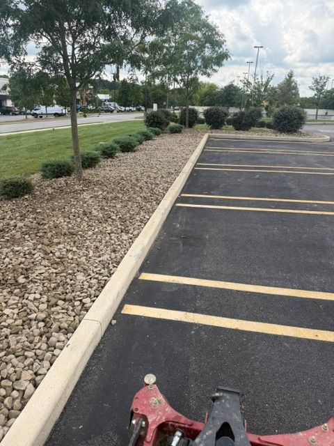 Shrub Trimming
