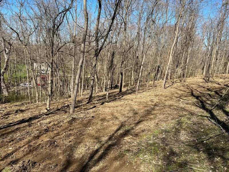 Land Clearing