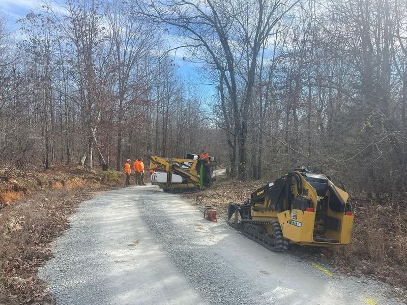 Other Tree Services