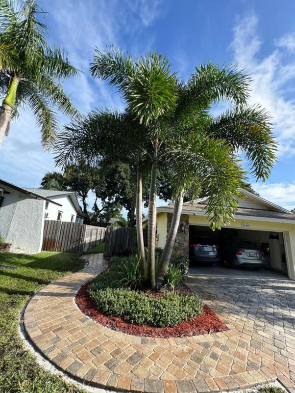 Driveway Paving