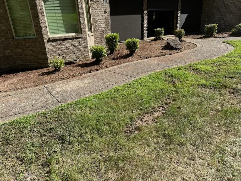 Lawn Maintenance