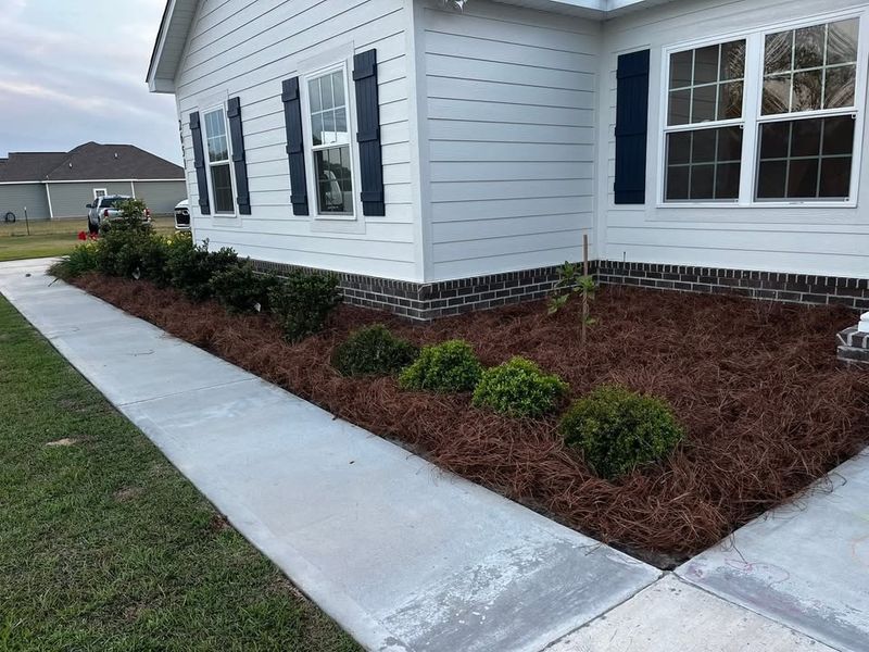 Tree & Shrub Care